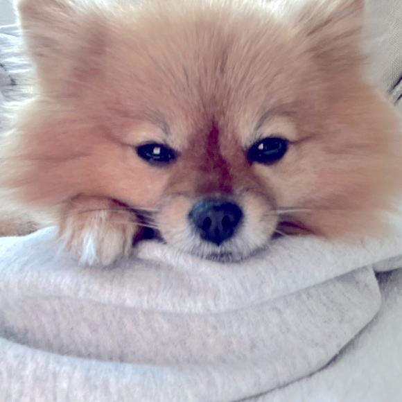 Hi! - Picture 1 of 1